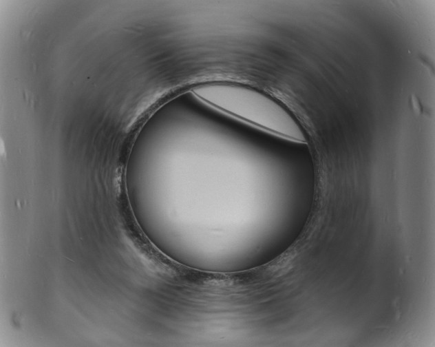 X0000101670160200807101058