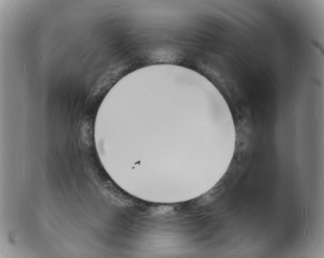 X0000101670162200807101058