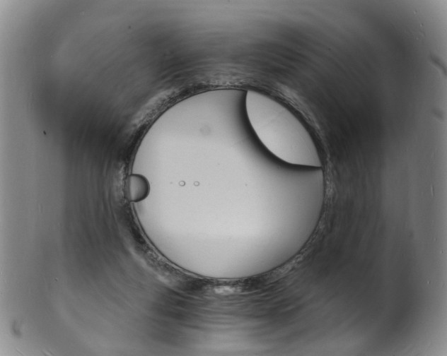 X0000101670163200807101058