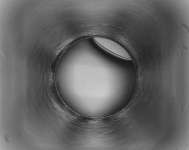 X0000101670164200807101058