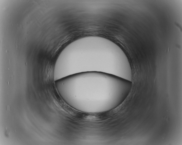 X0000101670171200807101058