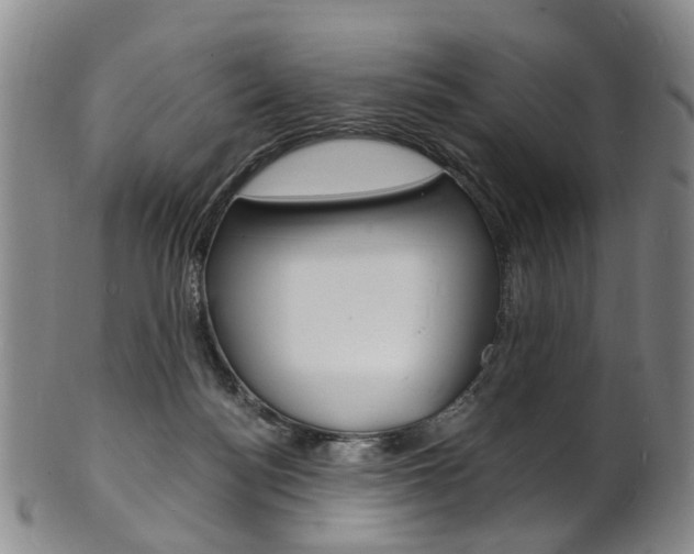 X0000101670172200807101058