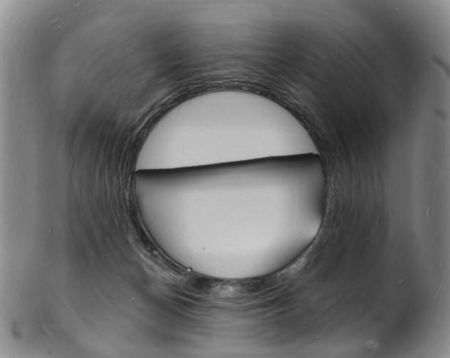 X0000101670174200807101058