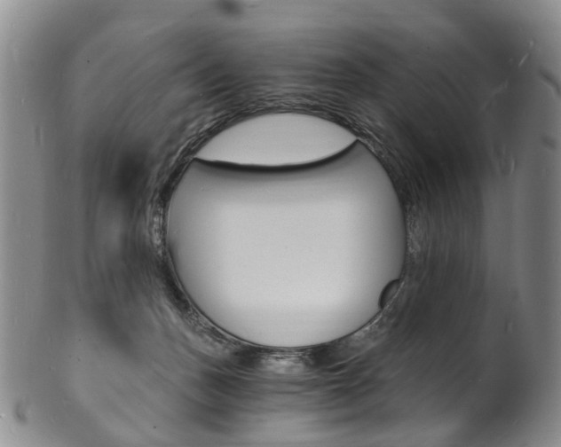 X0000101670175200807101058