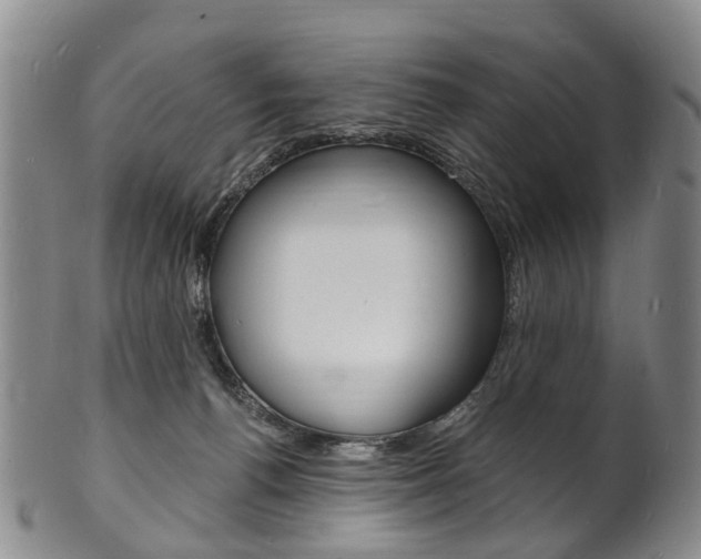 X0000101670176200807101058