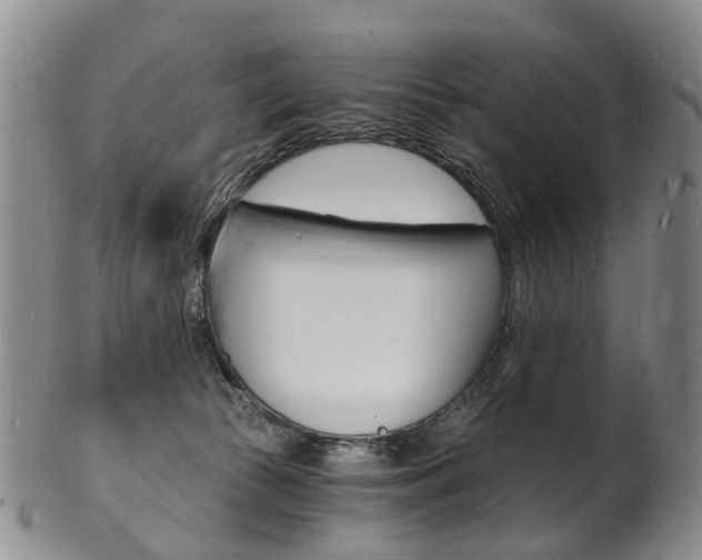 X0000101670177200807101058