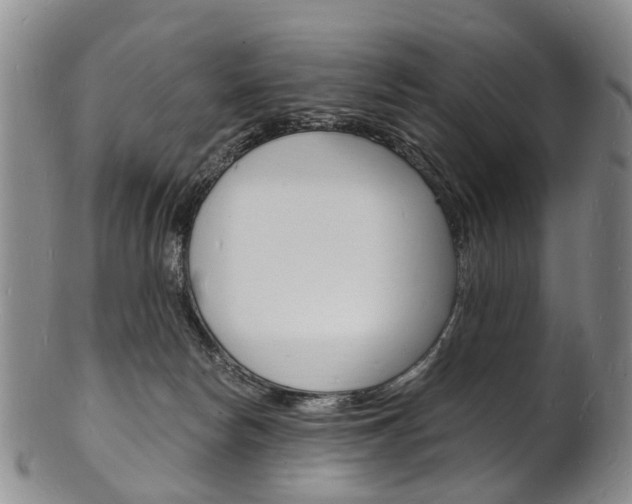 X0000101670178200807101058