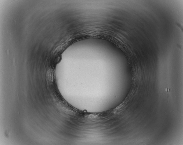 X0000101670180200807101058