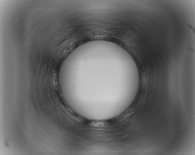 X0000101670181200807101058