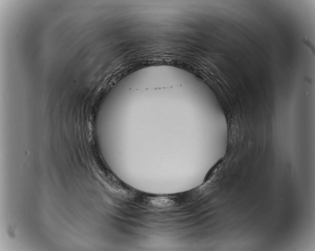 X0000101670183200807101058