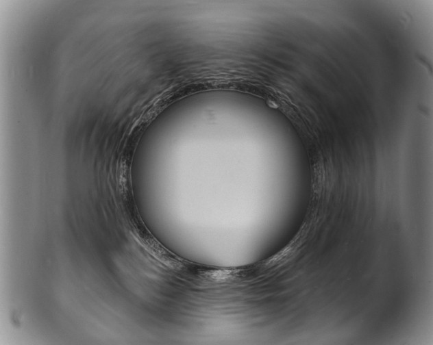 X0000101670184200807101058
