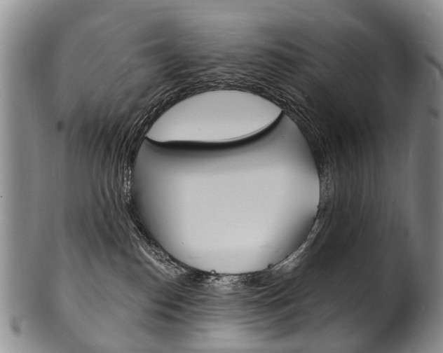 X0000101670186200807101058