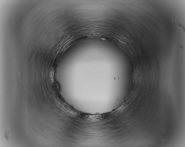 X0000101670188200807101058