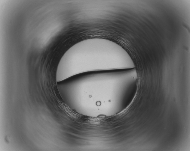 X0000101670190200807101058