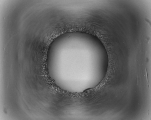 X0000101670192200807101058