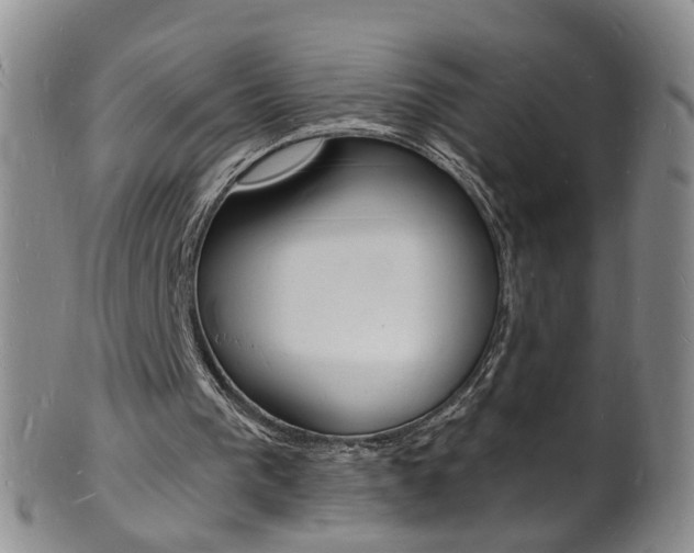 X0000101670193200807101057
