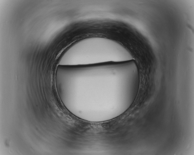 X0000101670194200807101057