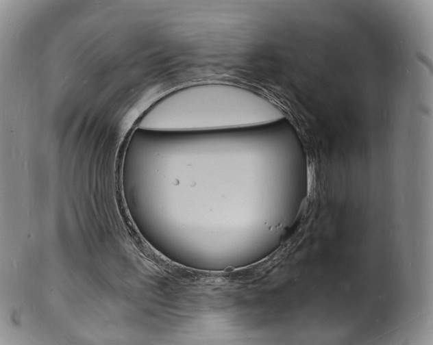 X0000101670195200807101057