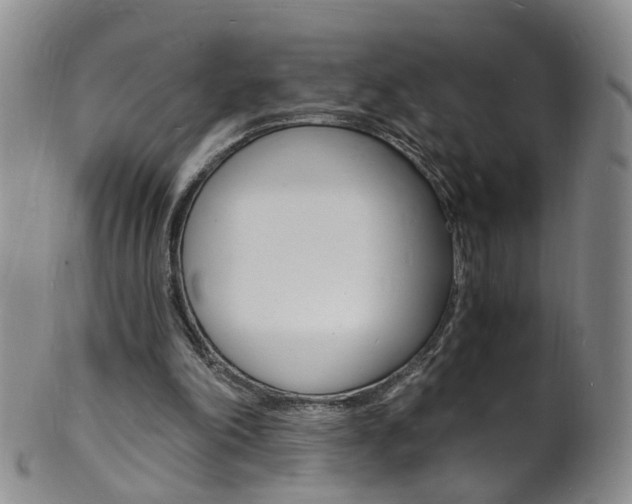 X0000101670198200807101057