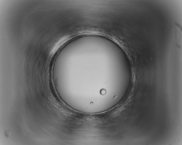 X0000101670199200807101057