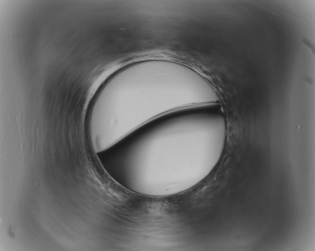 X0000101670200200807101057