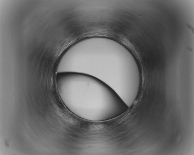 X0000101670202200807101057