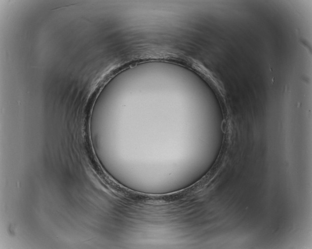 X0000101670203200807101057