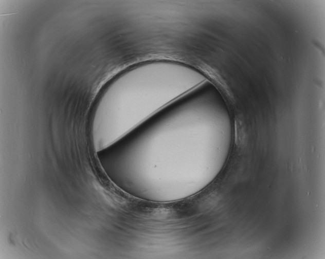 X0000101670204200807101057