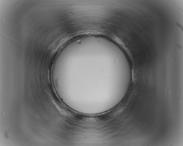 X0000101670205200807101057