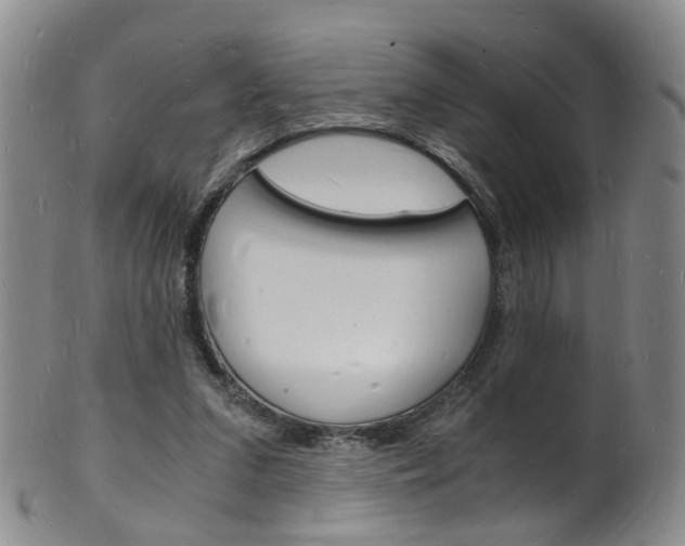X0000101670207200807101057