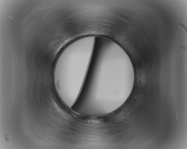 X0000101670208200807101057