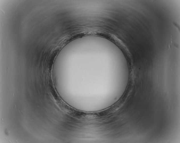 X0000101670209200807101057