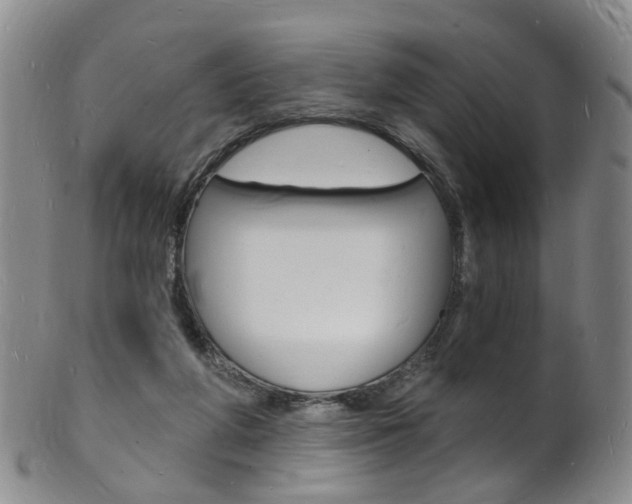 X0000101670210200807101057