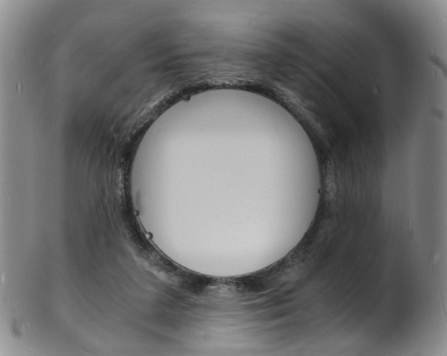 X0000101670211200807101057