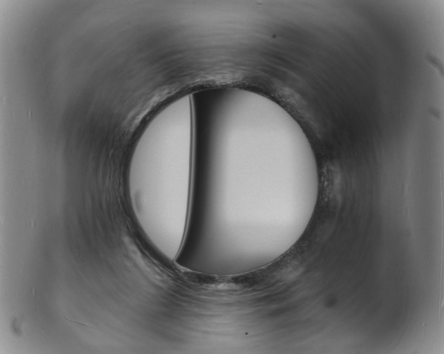 X0000101670212200807101057