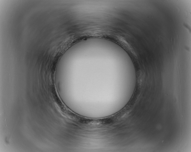 X0000101670213200807101057