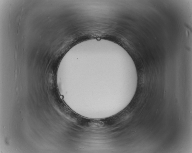 X0000101670215200807101057