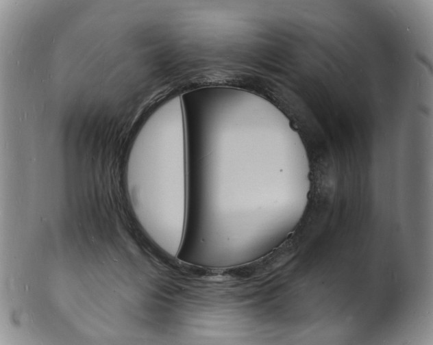 X0000101670216200807101057
