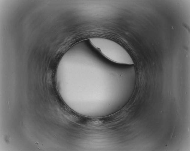 X0000101670217200807101057