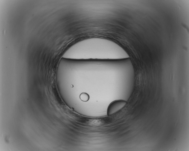 X0000101670218200807101057