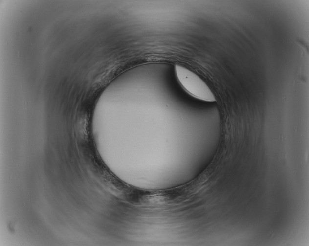 X0000101670219200807101057