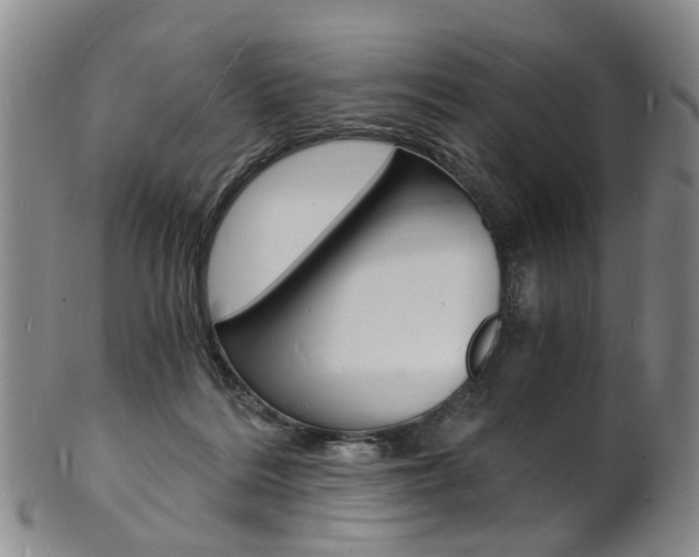 X0000101670220200807101057