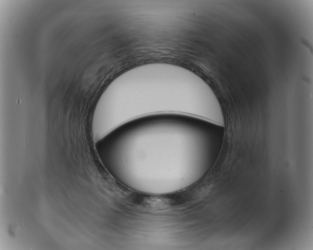 X0000101670221200807101057