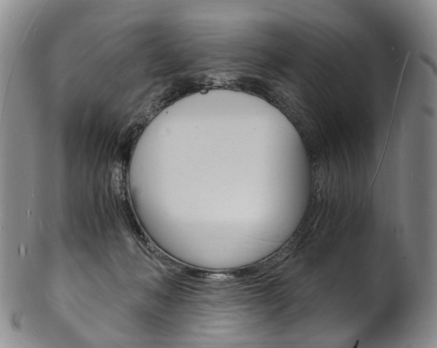X0000101670222200807101057