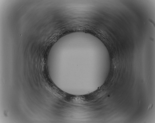 X0000101670223200807101057