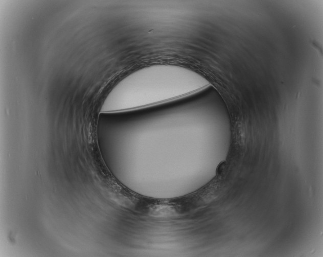 X0000101670224200807101057