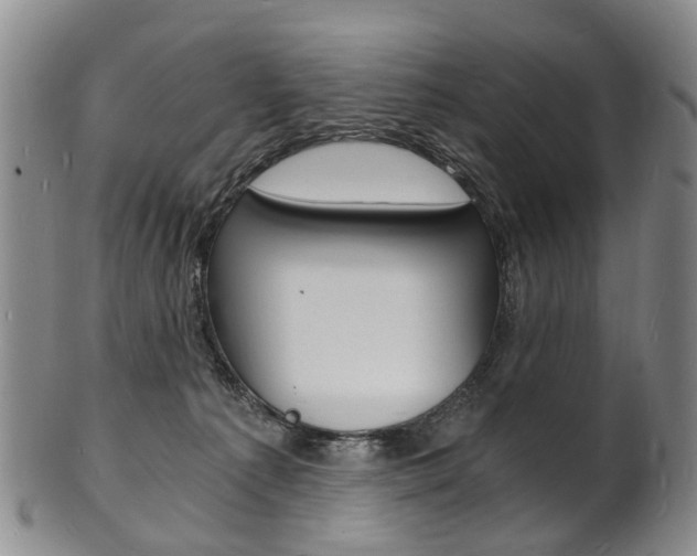 X0000101670225200807101057