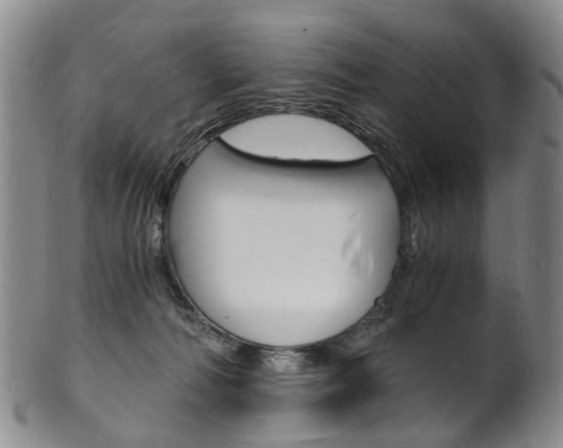 X0000101670226200807101057