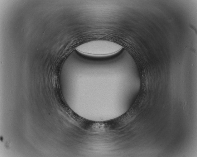 X0000101670227200807101057
