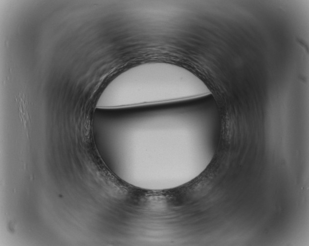 X0000101670228200807101057